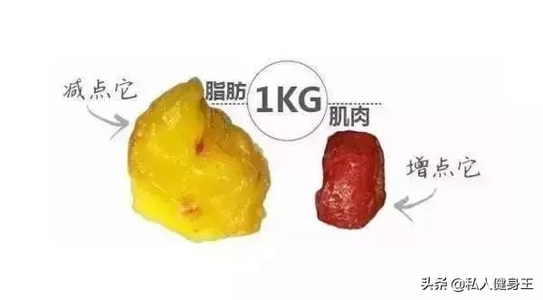 夏天来了怎么减肥不伤身体,夏天来了怎么瘦身