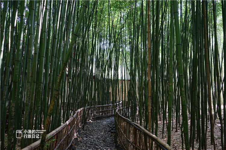 陕西秦岭神秘地,陕西秦岭神秘山脉