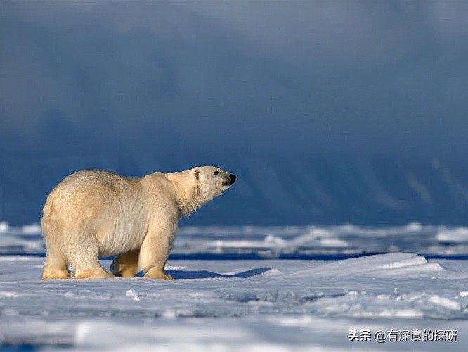 10个常见梦,10个常见的噩梦