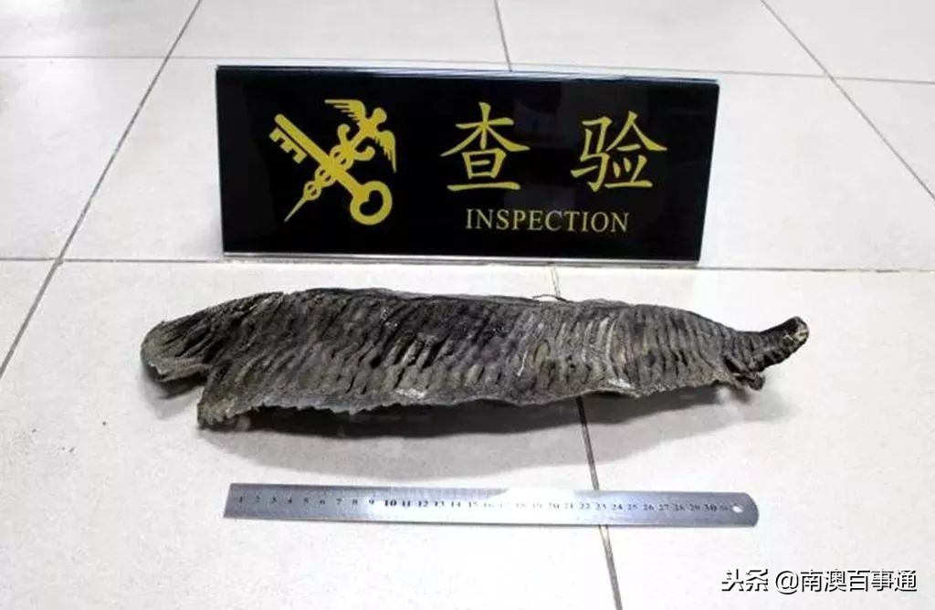 去港澳的汕头人注意！这些东西不要再带回来了！已有人被抓……