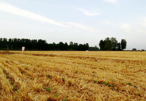 四面环水的阴宅风水案例,大富大贵的阴宅风水图