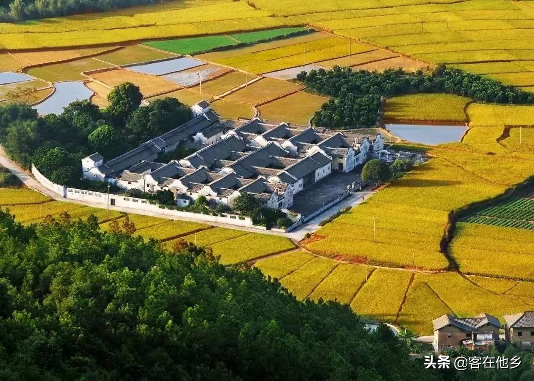 本港台播放过的动画,本港台曾经推出的纪录片