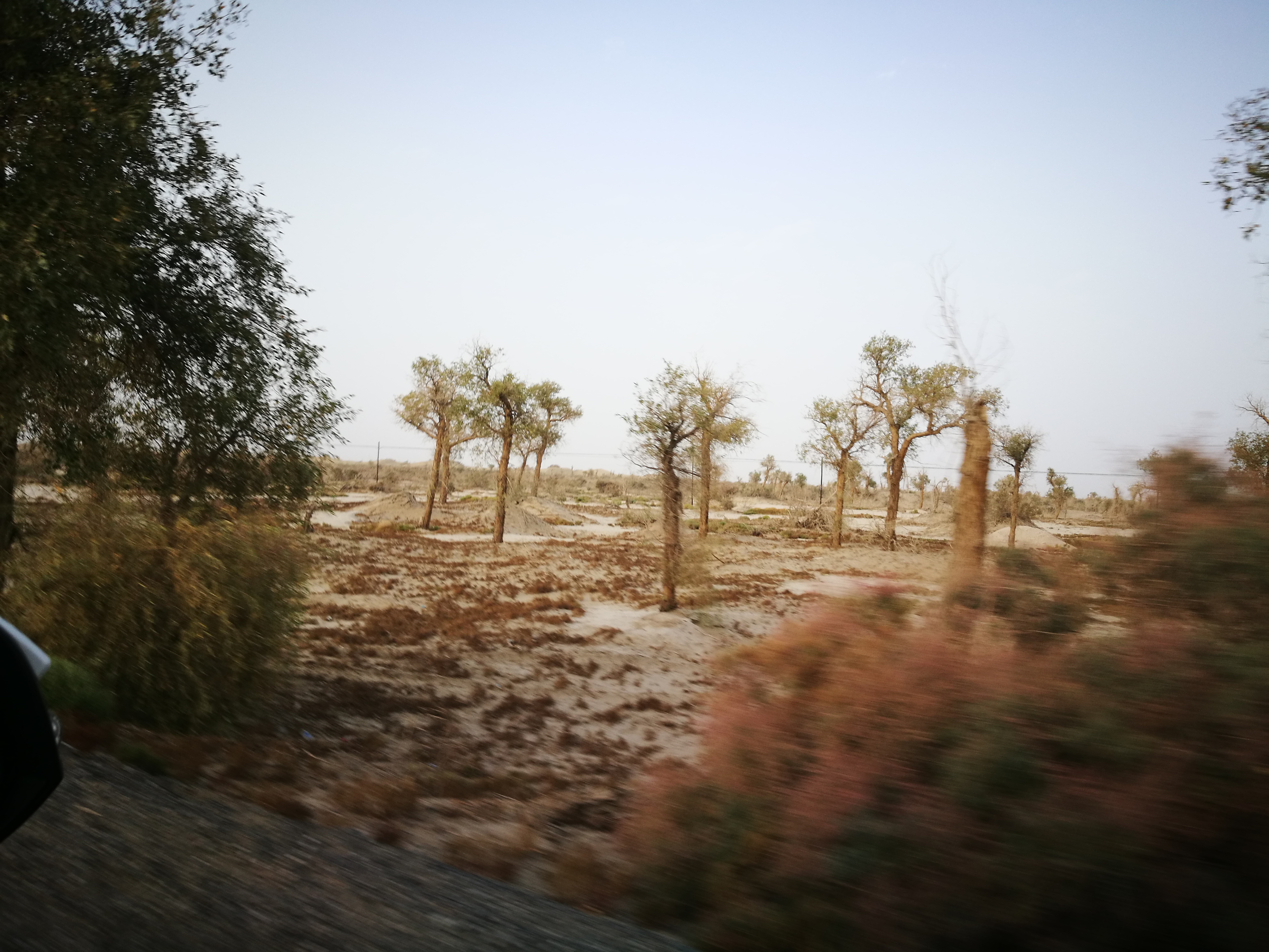 13000公里新手独驾*疆新**日记第23天——塔克拉玛干沙漠陷车自救