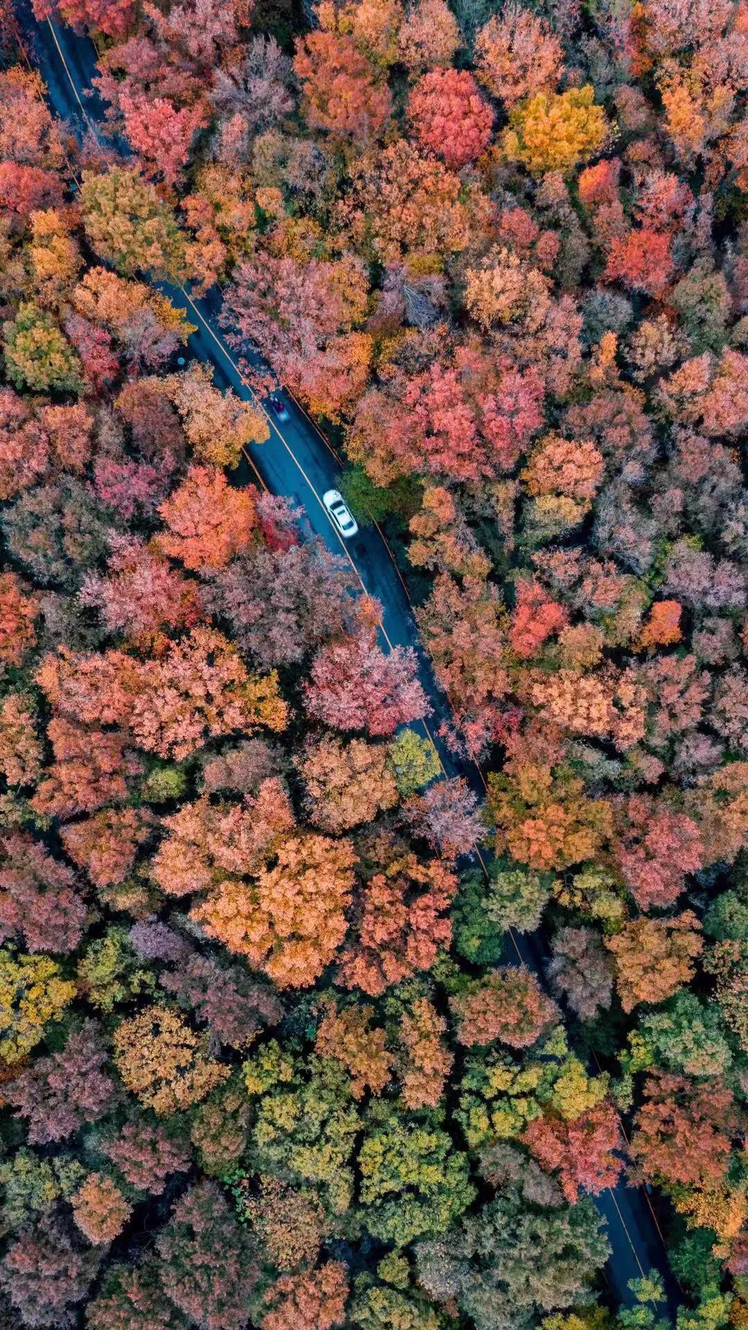 南京是属于哪个省的,南京是现在的哪个城市