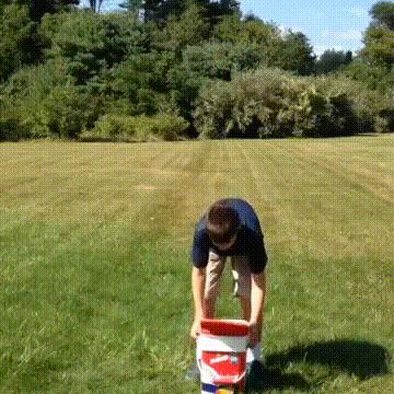 真鳄鱼皮鞋搞笑,鳄鱼皮鞋搞笑视频