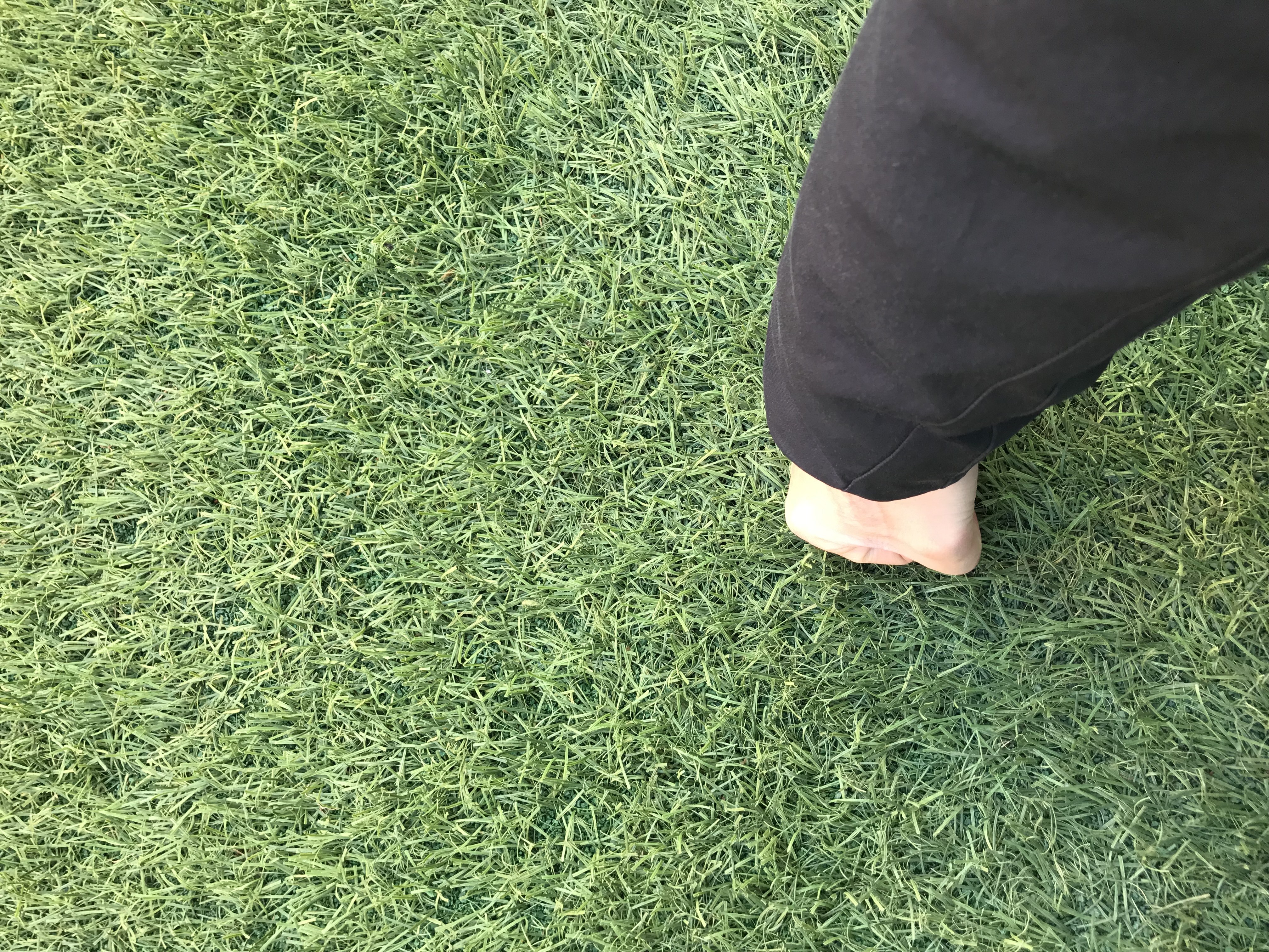 欧洲之旅意大利威尼斯,一次惊心动魄的探险之旅