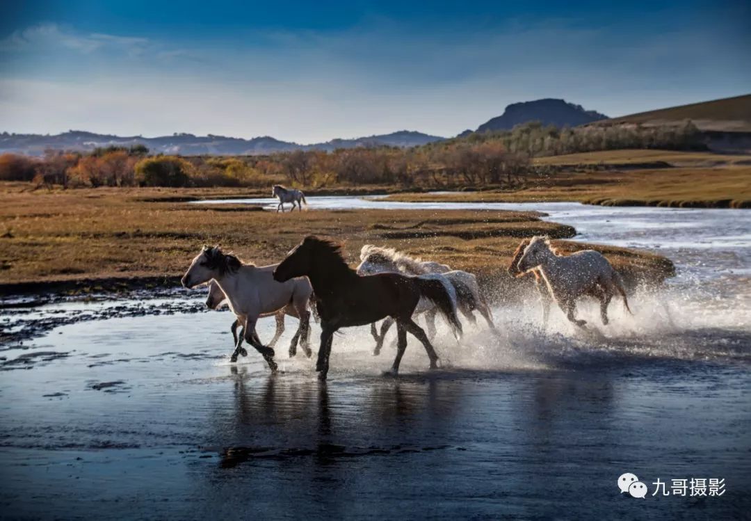 坝上草原天路美景,大美坝上风光系列之一