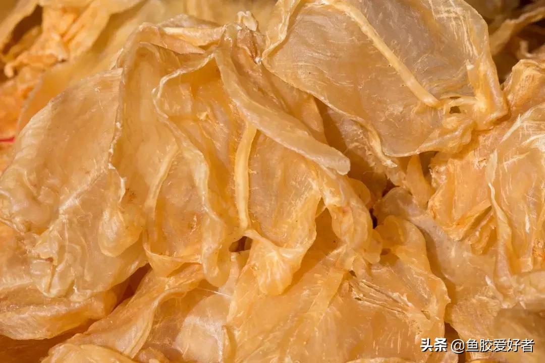 花胶怎么挑选公母,公花胶和母花胶怎样分别