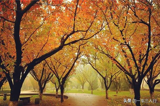 大连有一个蓝色的小城堡景点,大连秋季旅游景点攻略大全