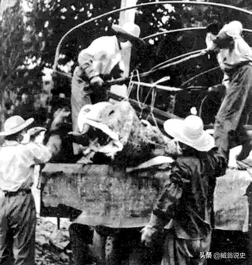 唐山大地震尸体埋在哪儿,沉重的话题是什么话题
