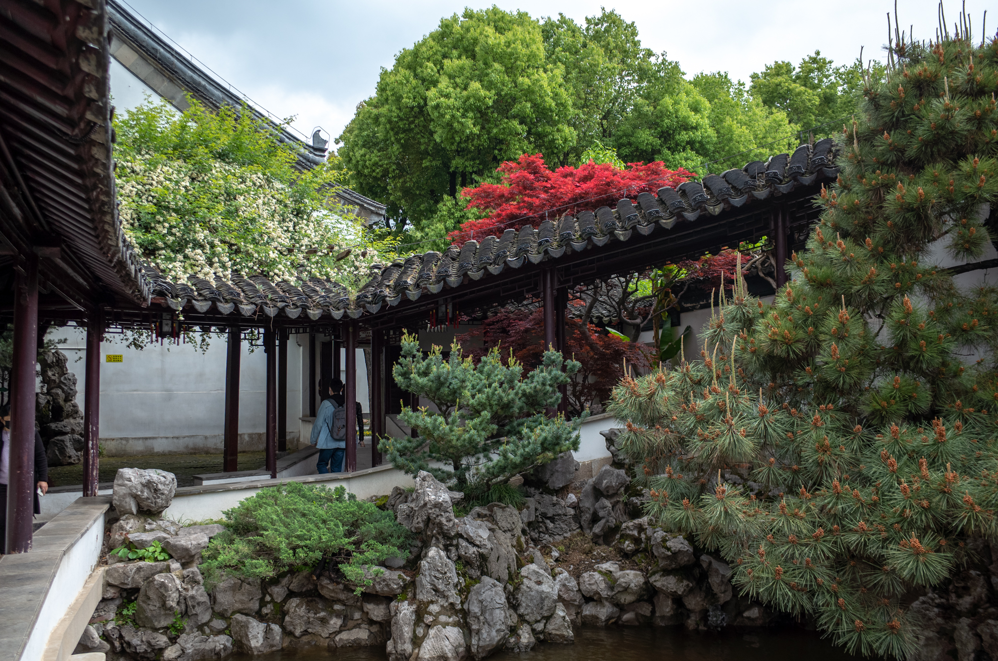 南京仅存的两座古典园林,南京江南四大园林