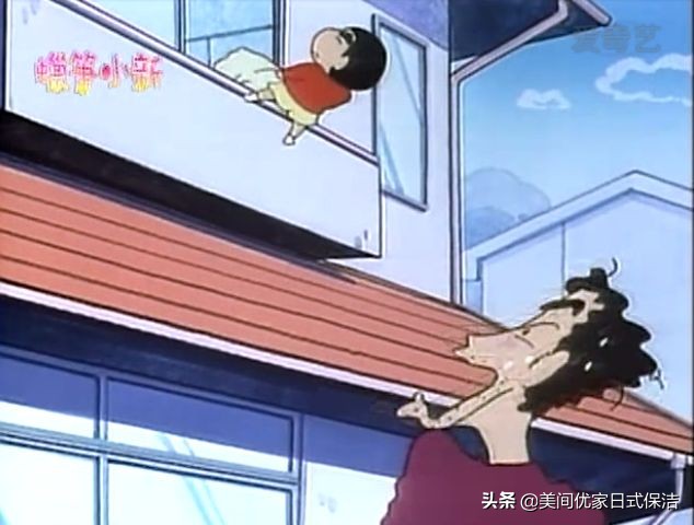 家居常见虫图片大全,家居虫类科普图文