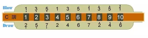 最全十孔布鲁斯口琴入门教程，初学自学推荐！