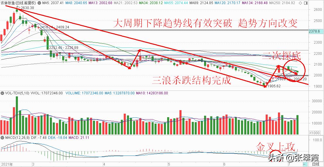 巨丰投资张翠霞：指数夯实上升基础恐慌“茅股”不改溢价预期