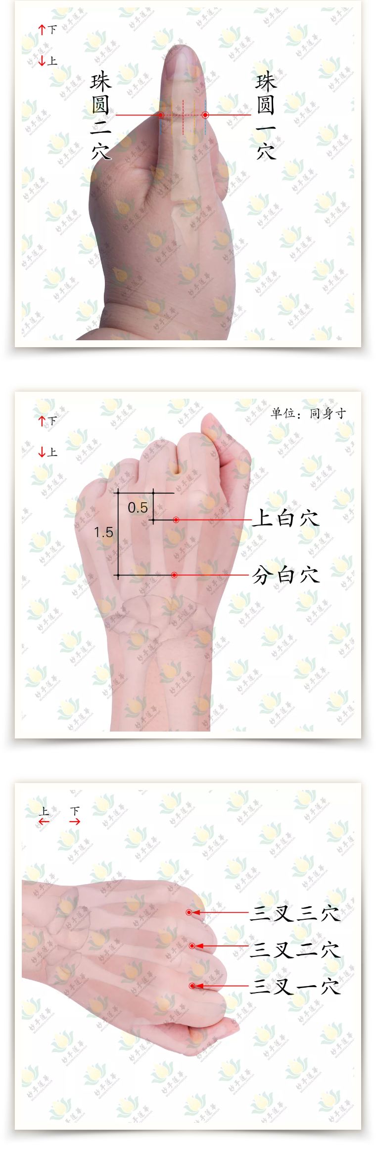 柳絮弄得眼睛痒怎么办,柳絮弄的眼睛痒怎么办
