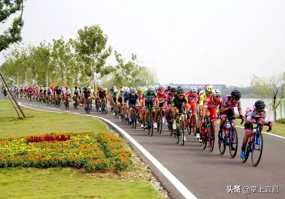 枝江市第十届田径运动会,枝江市比赛