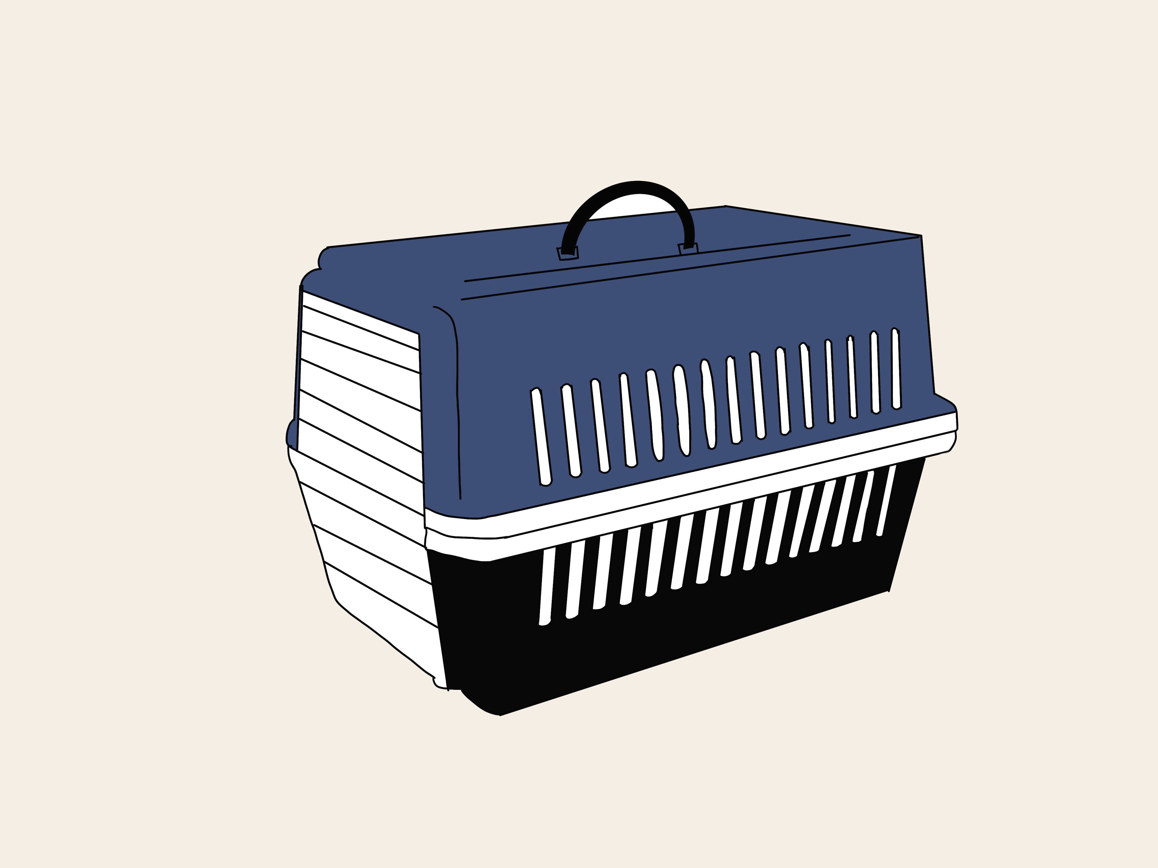 家里养猫怎么缓解猫的害怕,家猫特别害怕流浪猫怎么办