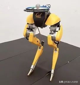 uc伯克利,uc伯克利学习