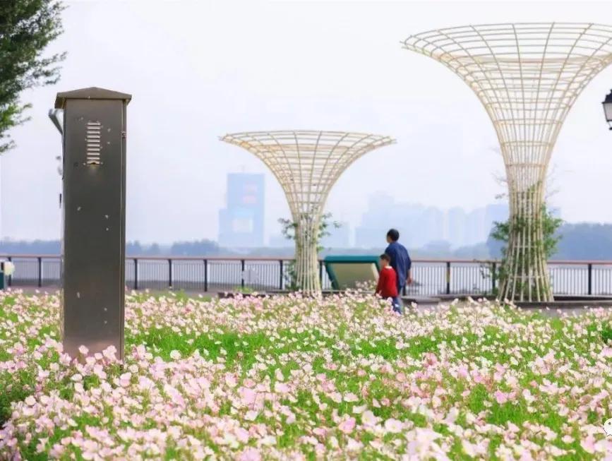 福州一日游不要钱最佳景点,福州周边短途一日游攻略的文章