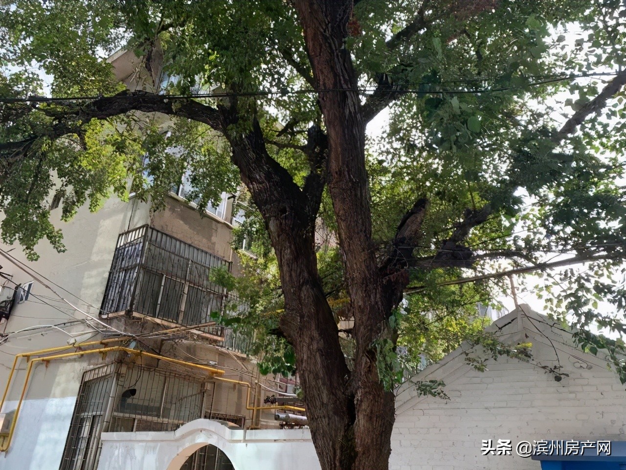 滨州金属小区拆迁,再见了滨州的视频