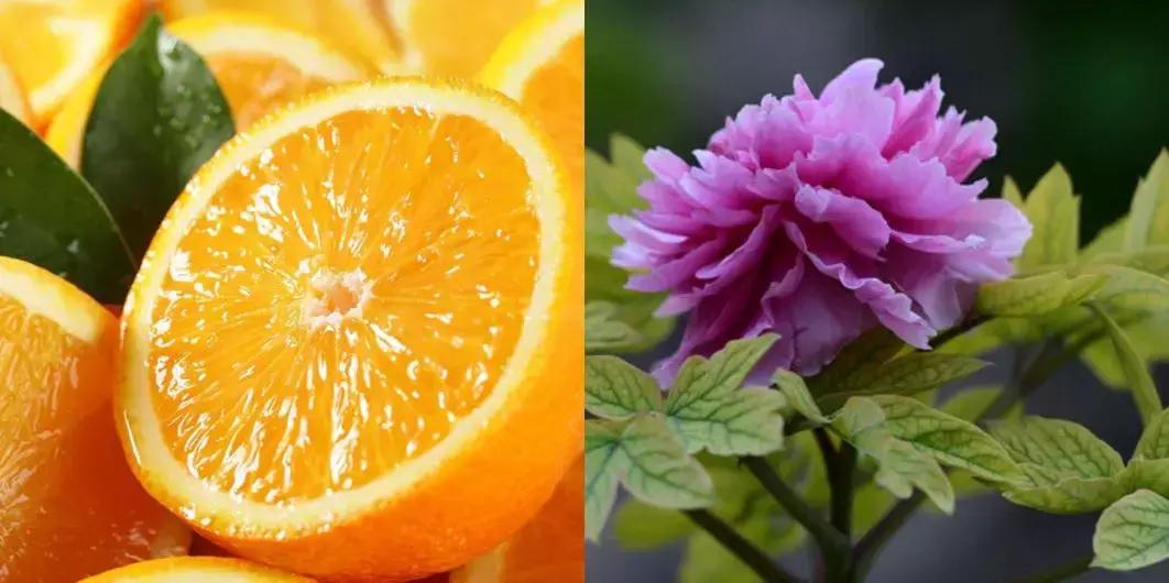 香水搭配的基本知识,香水潮流搭配