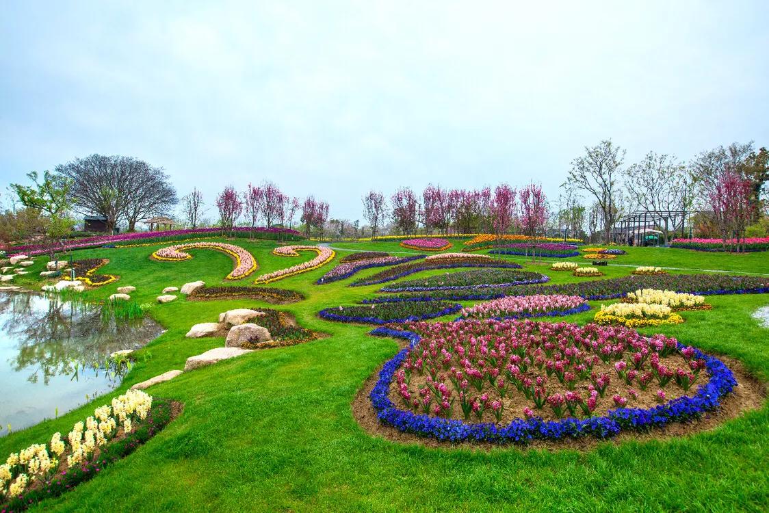 不用去维多利亚！南京溧水惊现布查特花园，文艺值爆表！