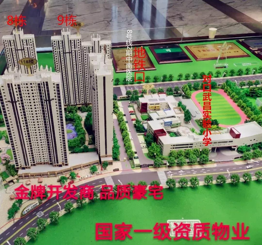 复地东湖国际值得投资吗,复地东湖国际为什么突然涨起来