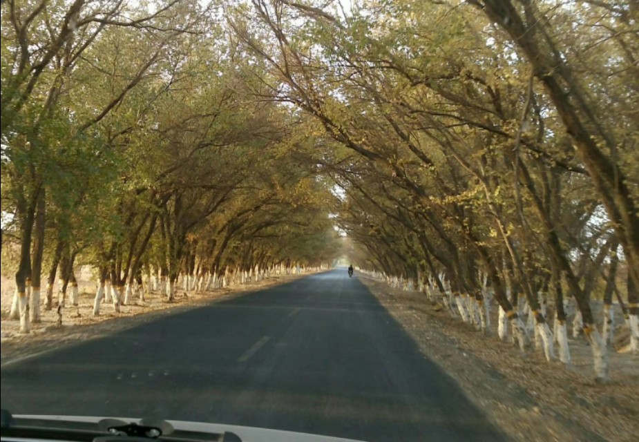 鄯善，一个比台湾岛还要大的县，有着鲜明的民风民俗