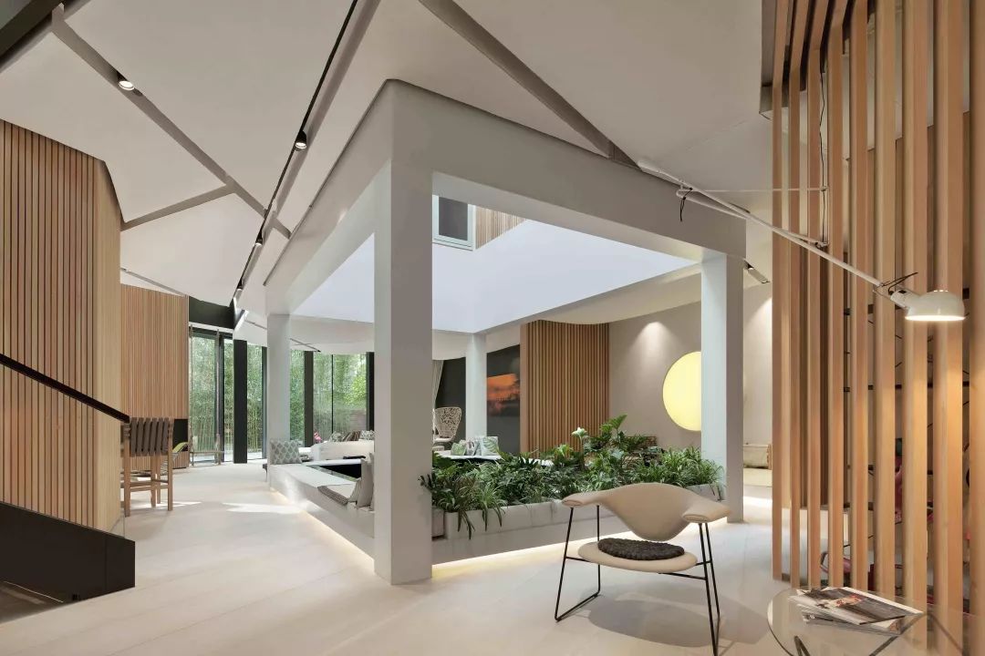 江一燕别墅内景,江一燕获奖豪宅设计