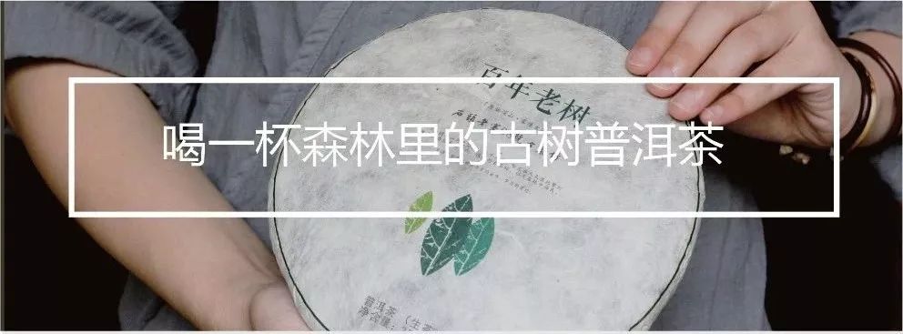 去西双版纳旅居攻略,西双版纳旅居详细攻略