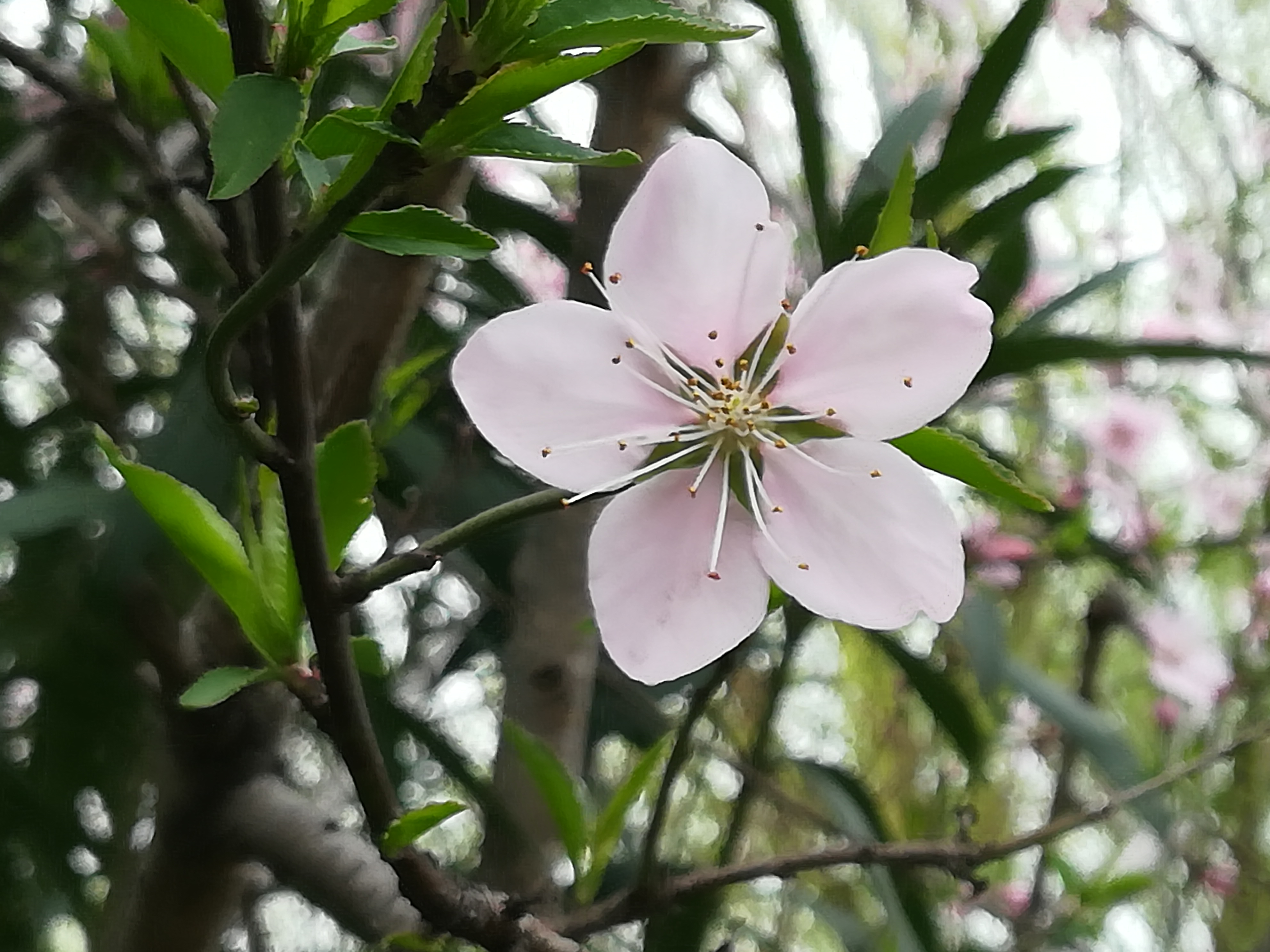 苏州越溪永旺梦乐城,苏州新区永旺梦乐城