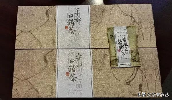 期待兰花香,再谈鸠坑群体种老茶园