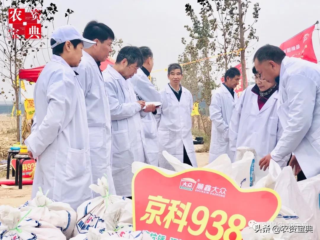 国审玉米种京科938,京科968玉米国审