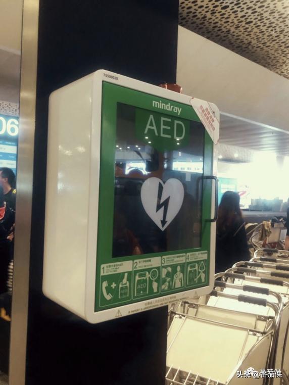 如果得了鼠疫怎么急救呢,如果得了鼠疫怎么急救