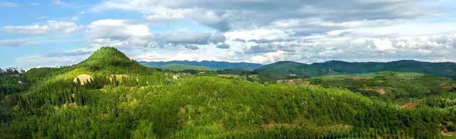 等一个人陪我去湛江,等一个人陪我去旅游