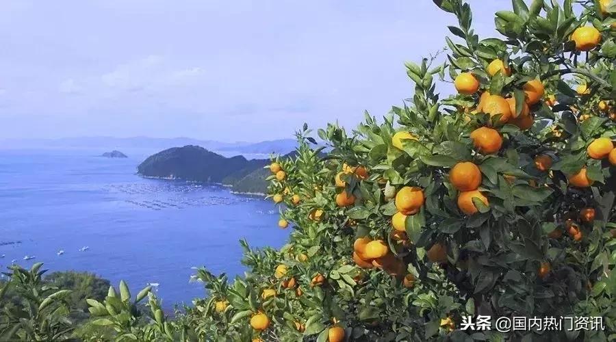 上海自驾游免费景点,2021上海亲子游必去的14个景点