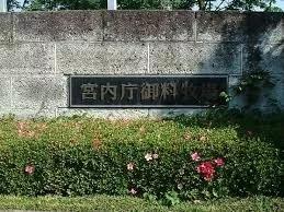 带货女王有哪些,轻奢高端包包正品