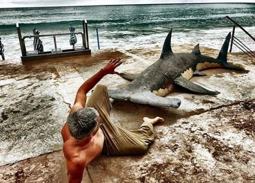 老外沙雕动物视频,外国人沙雕模仿动物