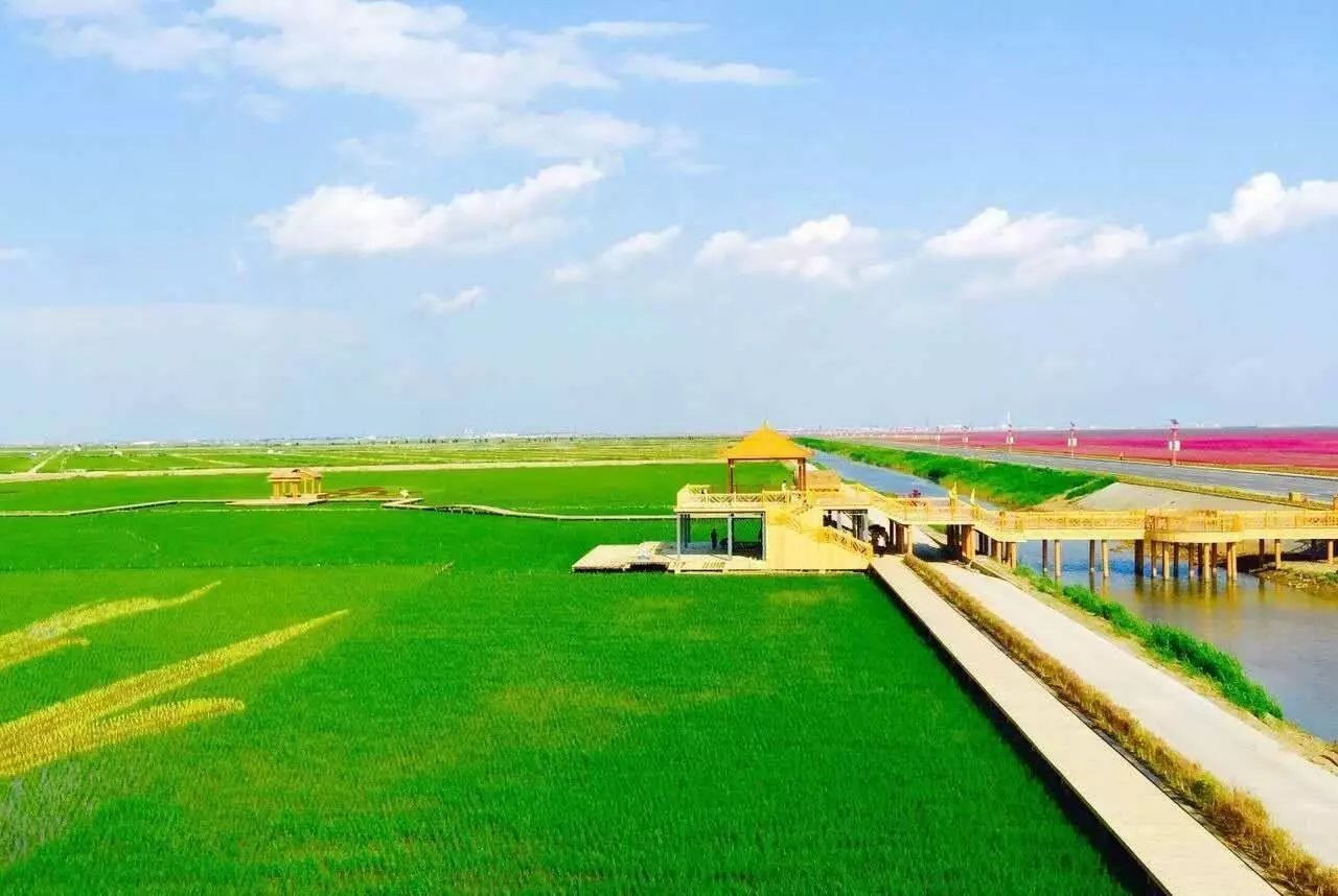 辽宁省除了沈阳大连哪个城市宜居,辽宁大连最宜居的地方