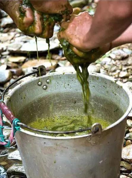 牛瘪火锅奇食记,牛瘪火锅加鲱鱼罐头加臭豆腐