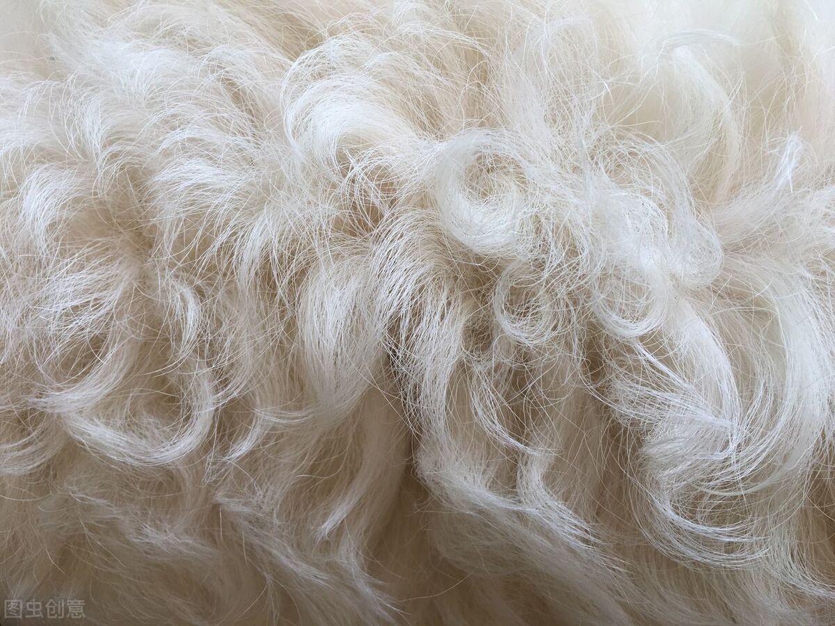 如何除掉被褥衣服宠物毛发,去除衣物上的宠物毛发的好方法