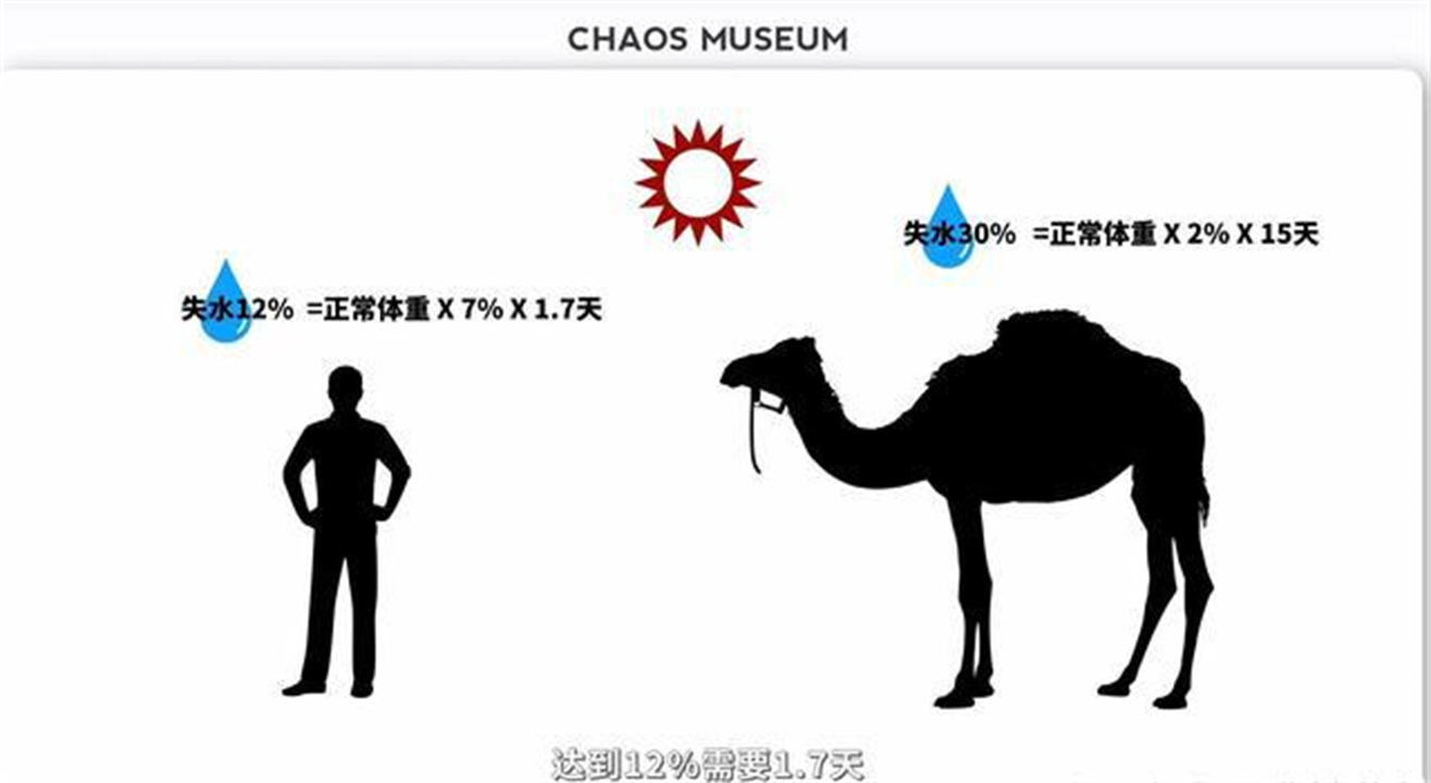 大象为什么不被其他动物吃掉,为什么食肉动物不吃大象