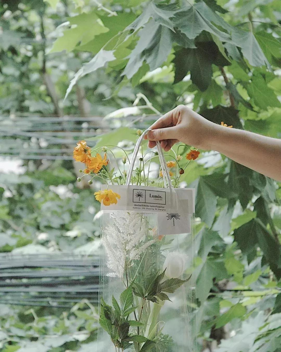 在花园里和鲜花为伴,在花店与鲜花为伴