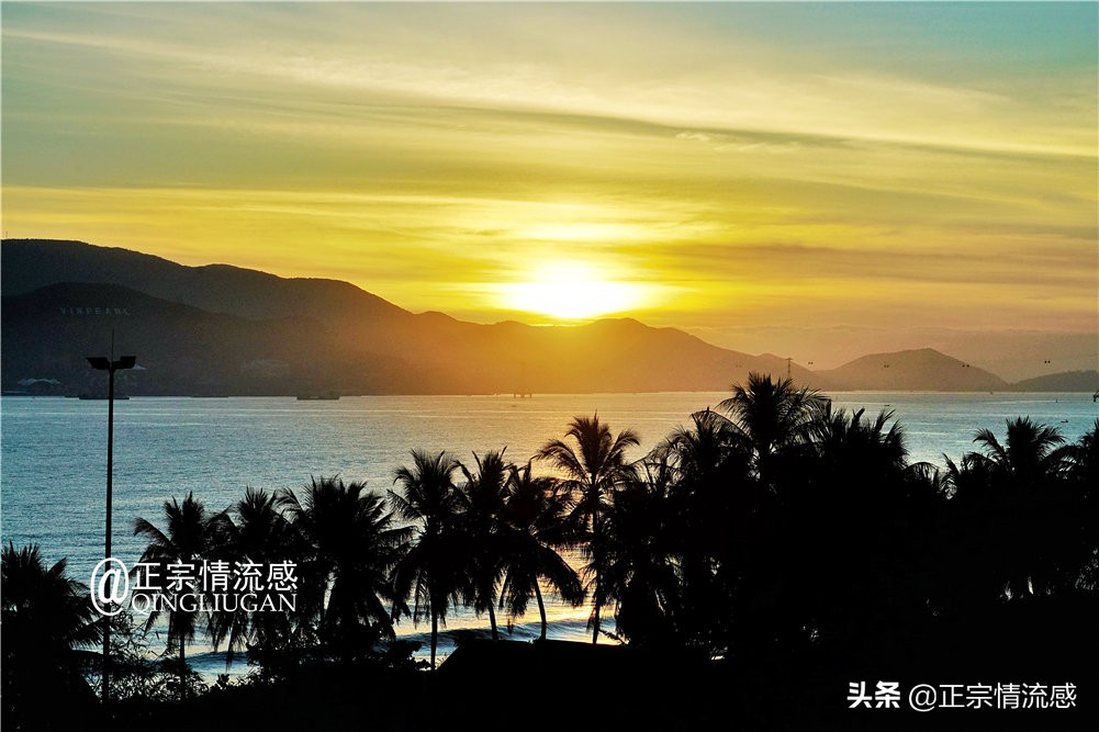 芽庄印象｜|想说爱你不容易