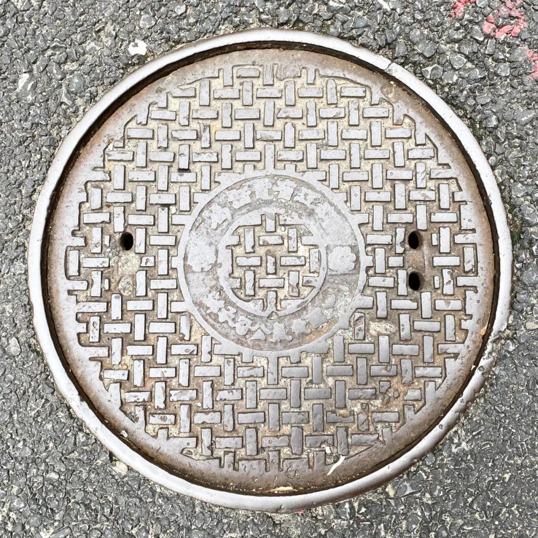 不要错过上海的春天,不要错过上海的夏天