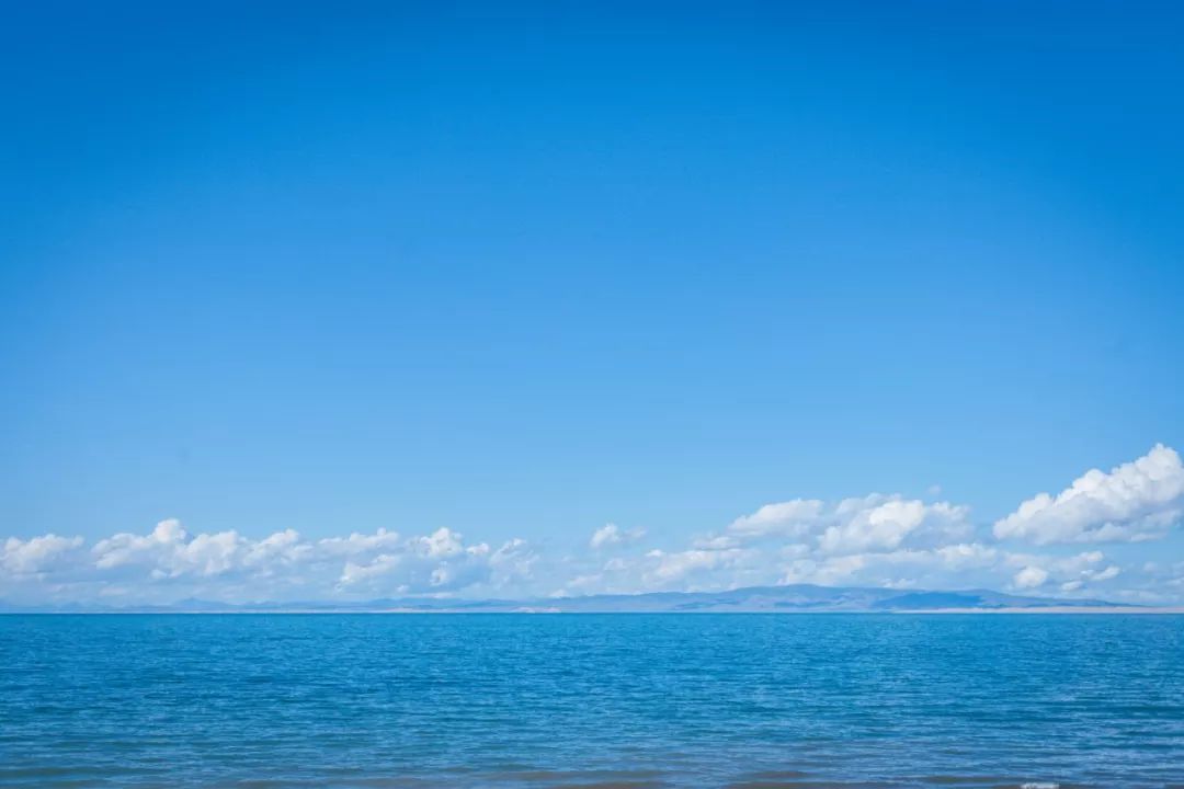 只要你面朝青海湖，八月依旧春暖花开
