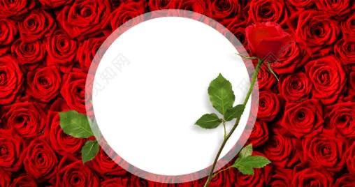 七夕情人节是哪天,七夕情人节的来源故事