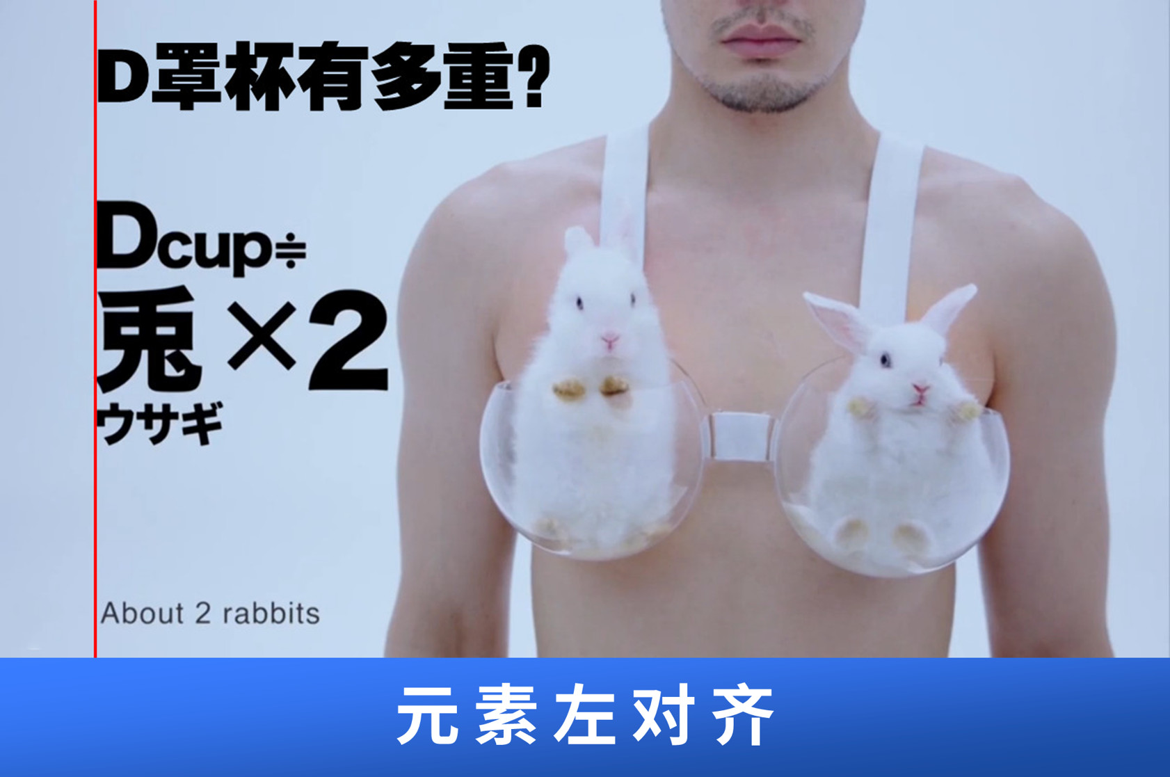 做ppt时怎么调整对齐,在做ppt的时候怎么精准的对齐