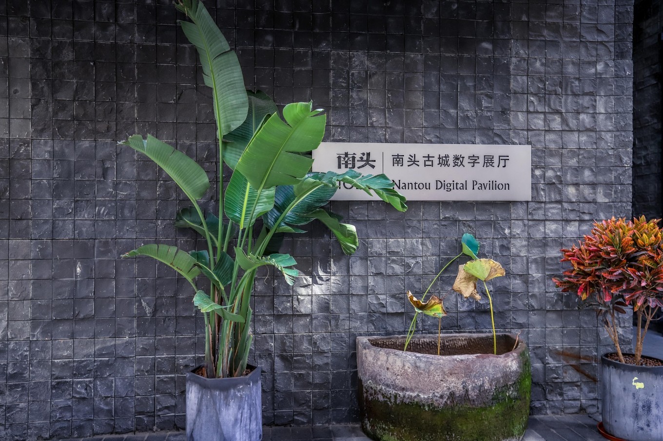 周末城市微度假目的地,深圳南头古城藏匿在闹市之间