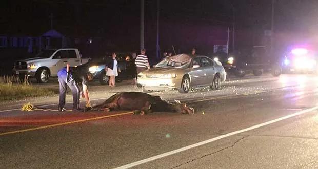 为什么买rav4不买途观l,为什么荣放rav4没有8at